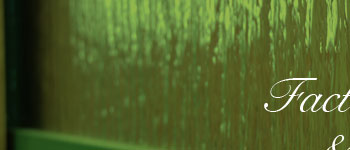 fands�g�b�v�ʐ^