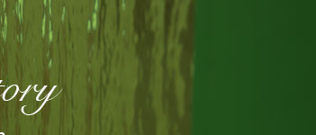 fands�g�b�v�ʐ^