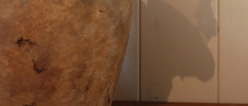 toform�g�b�v�ʐ^