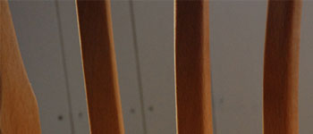 wandm�g�b�v�ʐ^