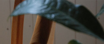 wandm�g�b�v�ʐ^